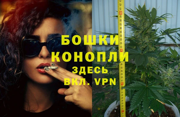 Альфа ПВП Великий Новгород
