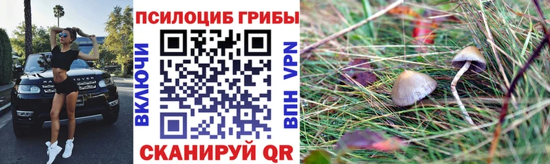 Галлюциногенные грибы мицелий  блэк спрут онион  Алексин 